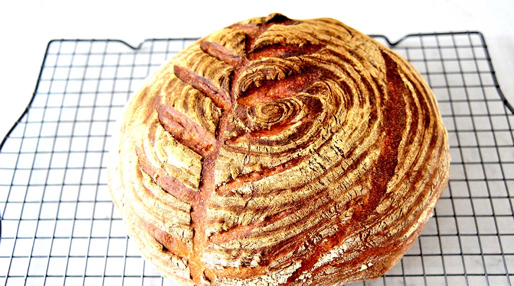 认识面团(中种法)的发酵与不同，中种法面包制作过程？