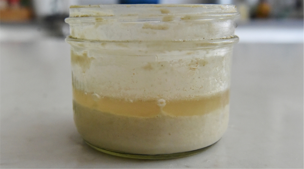 天然鲁邦面种是有氧好还是缺氧好?