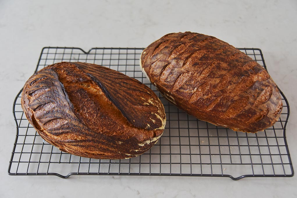 主面团添加多少天然面种是合宜的?