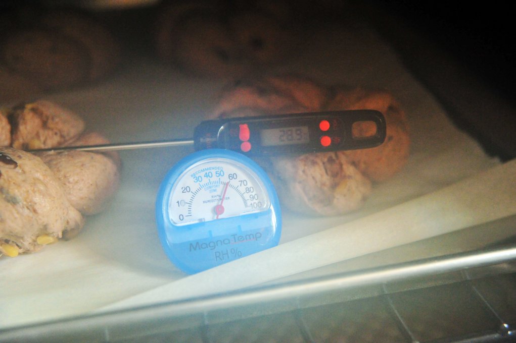 温度对面包发酵的影响，温度对于面包制作的影响(上)