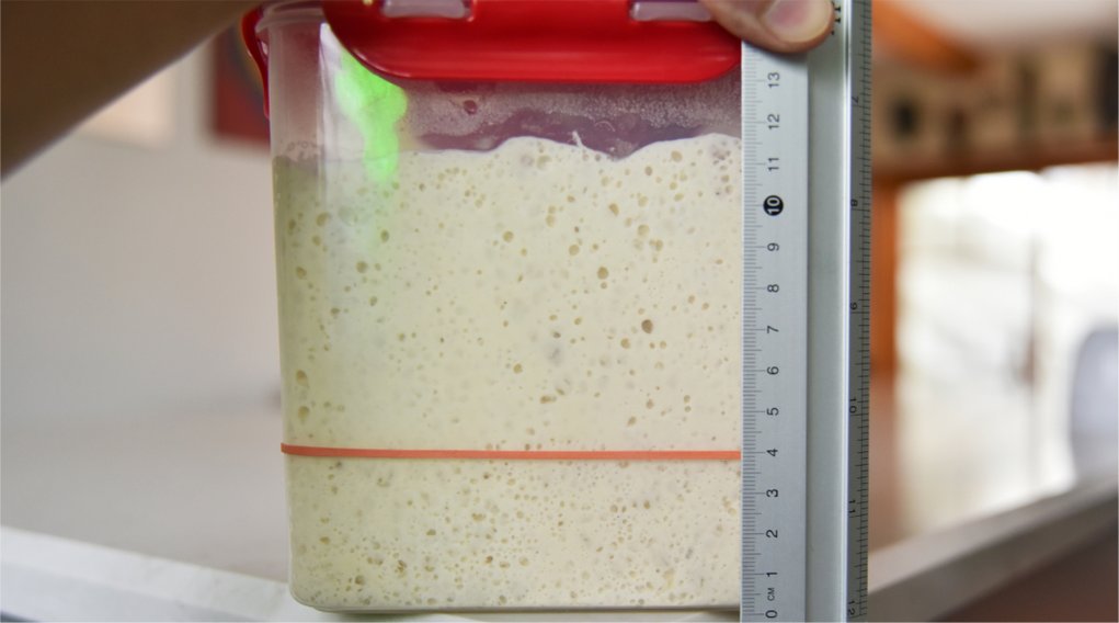 如何以速发酵母制作液种酵头，发酵母粉使用方法？