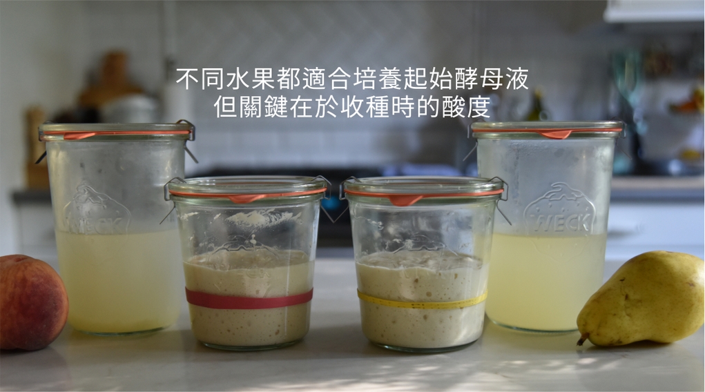 商业优格​​无法无限循环接种的原因？