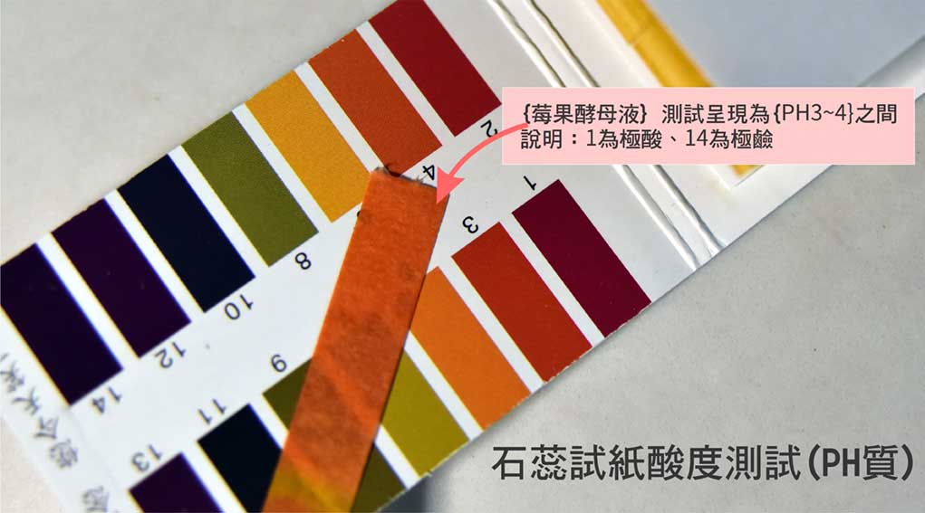 如何培养水果液种?