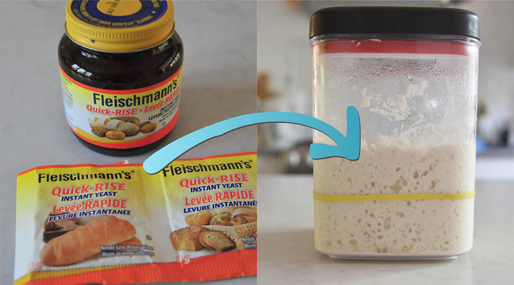 速发酵母与天然酵母的换算