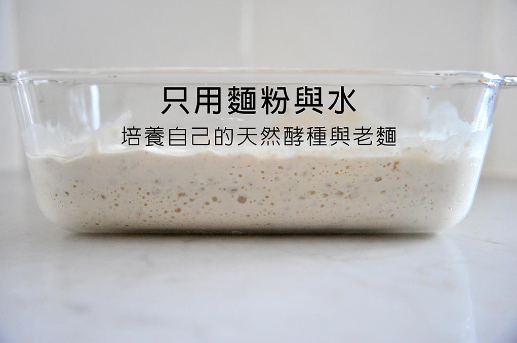只用面粉与水– 培养自己的天然酵种与老面(鲁邦种)