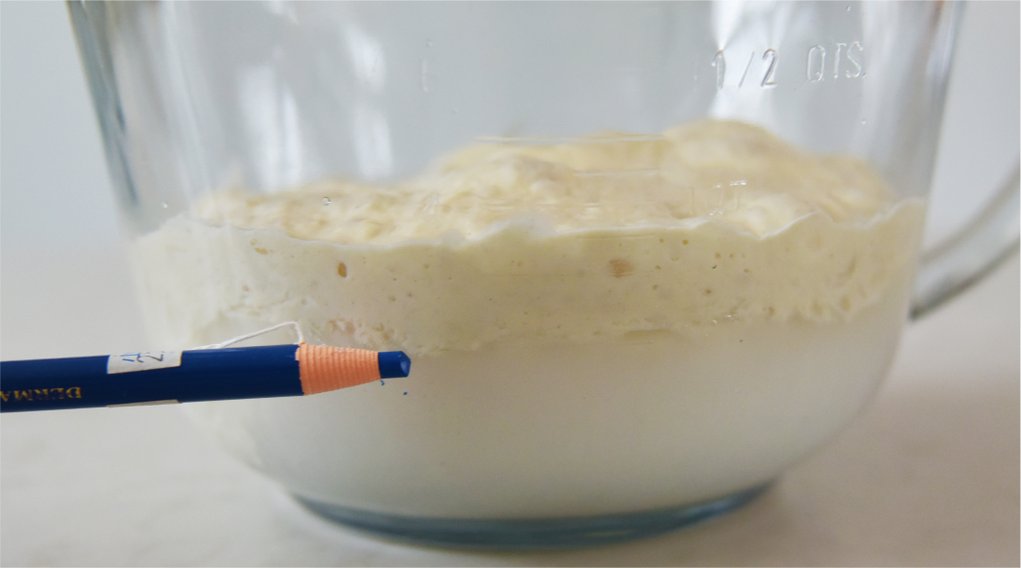 如何以速发酵母制作液种酵头，发酵母粉使用方法？