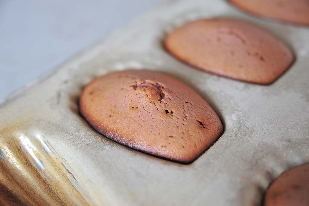 不完美玛德莲的为什么会失败