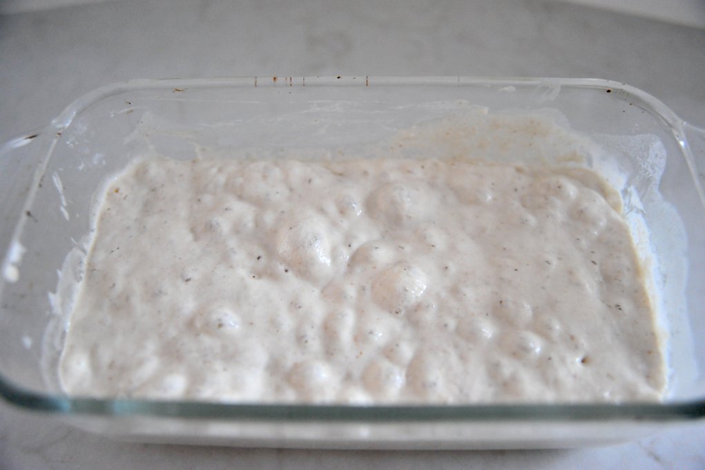 只用面粉与水– 培养自己的天然酵种与老面(鲁邦种)