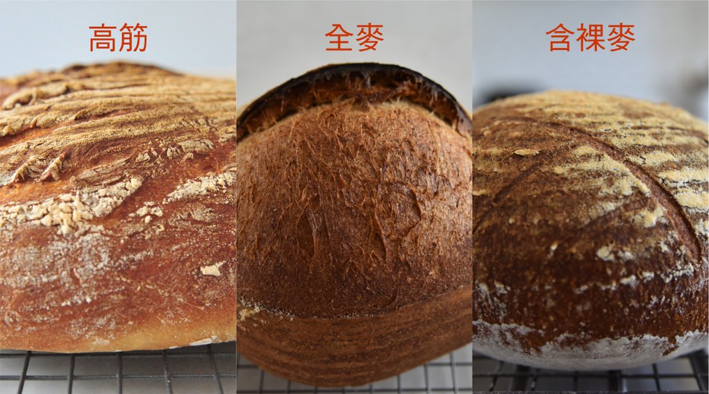 温度对面包发酵的影响，温度对于面包制作的影响(下)