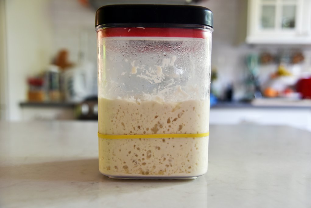 温度对面包发酵的影响，温度对于面包制作的影响(上)