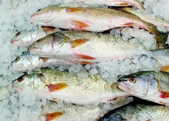 美的微波炉如何解冻 解冻神技! 五种方法简单快速解冻食物