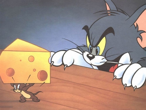 奶酪 奶酪是什么 奶酪是芝士吗