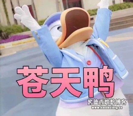 烘焙硅胶模具，烘焙必备的超好用模具套装、小工具看这篇就够了！重点是不仅超好用！