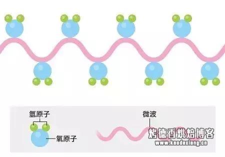 不会用微波炉？其实也不是笨！只是在等我这一篇微波炉实用指南！