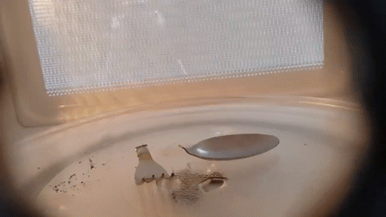 微波炉危害性，葡萄放进微波炉会爆炸？这些东西都不能放进微波炉！