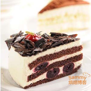 奶酪 奶酪是什么 奶酪是芝士吗