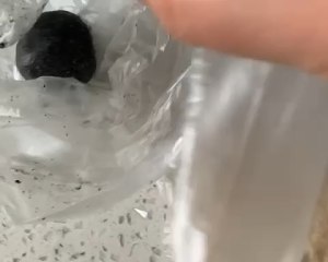 懒人生酮:黑芝麻饼 制作方法