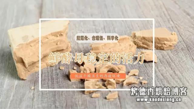 提升烘焙制品发酵风味的选择——鲜酵母