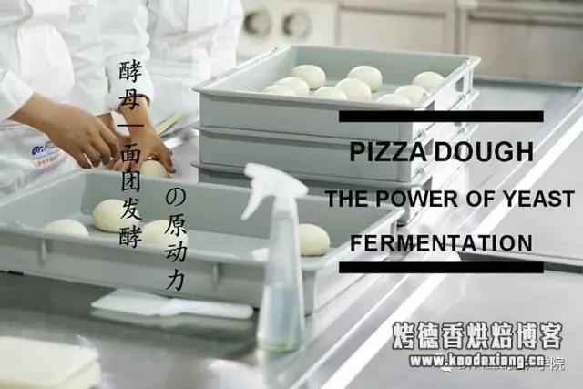 提升烘焙制品发酵风味的选择——鲜酵母