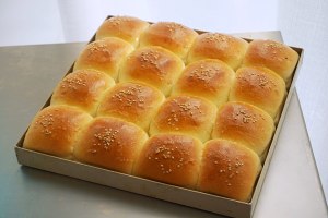 ?超简单快手，柔软拉丝，一次发酵，牛奶小餐包