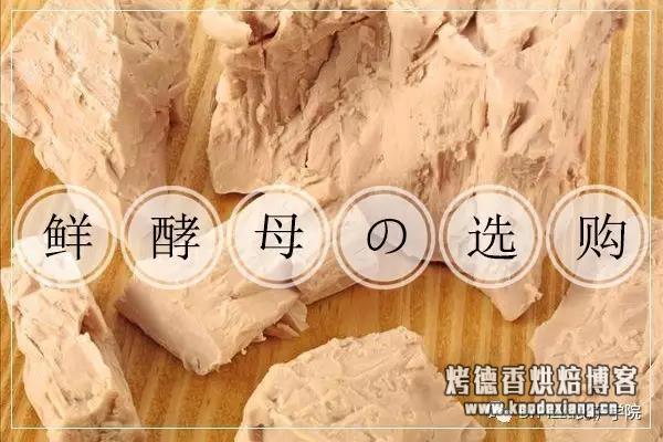 提升烘焙制品发酵风味的选择——鲜酵母