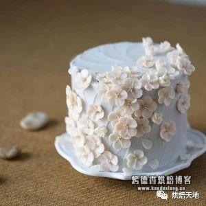 烘焙用什么淡奶油 烘焙必备！17种常用淡奶油/奶油霜调味，让你的蛋糕丰富起来~