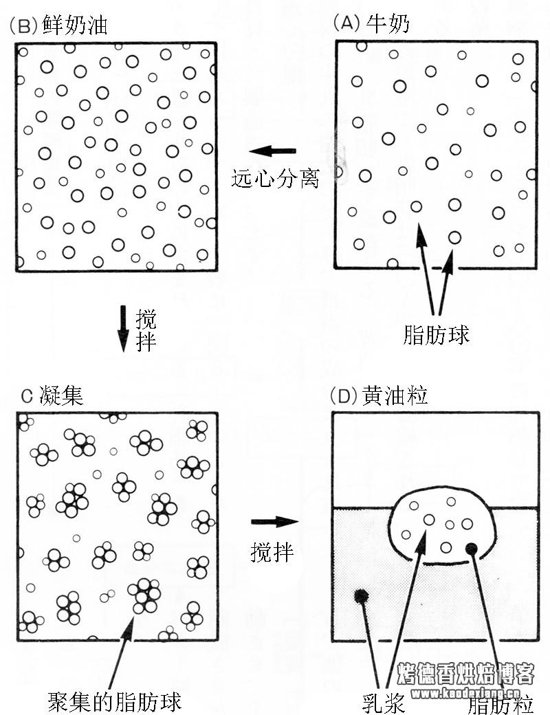 正确的认识烘焙原料 黄油什么牌子好?
