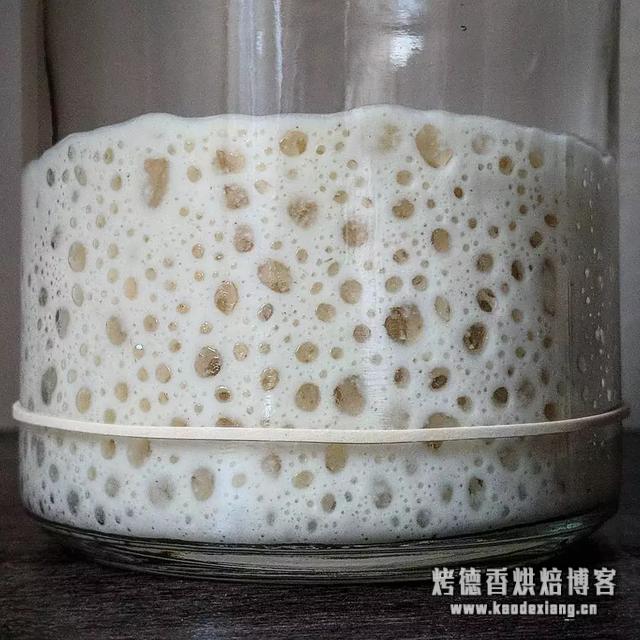 正确的面包发酵种鲁邦种法