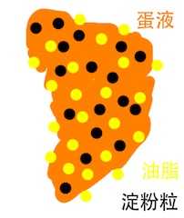 泡芙为什么会在烘焙过程中胀起来从而形成中空?