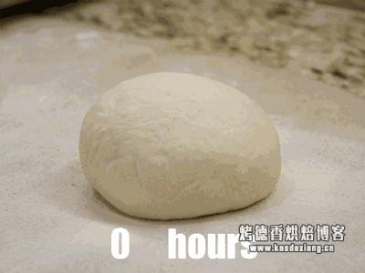 8分钟掌握做出好面包的简易方法!!直接法