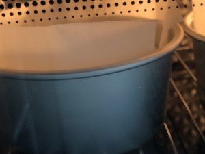 网红好利来半熟芝士（低卡）轻乳酪蛋糕hanjuku cheese 制作方法