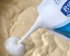 网红好利来半熟芝士（低卡）轻乳酪蛋糕hanjuku cheese 制作方法