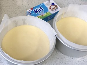 网红好利来半熟芝士（低卡）轻乳酪蛋糕hanjuku cheese 制作方法