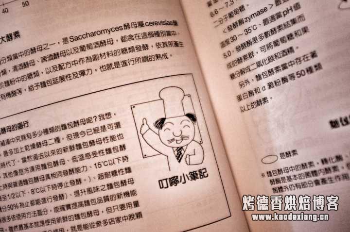 有哪些适合面包初学者的书籍?