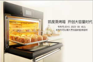蒸烤箱排行榜