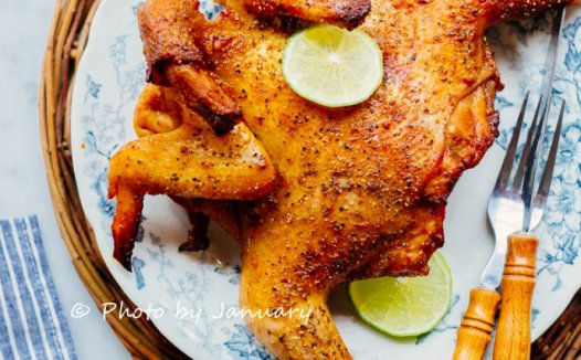 长帝空气烤箱CRWF42NE试用报告-做烤鸡告诉你好不好！