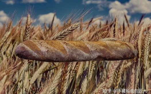 初学者用烤箱做面包？我们做了4款全麦粉占比不同的吐司，到底哪款最适合减脂？