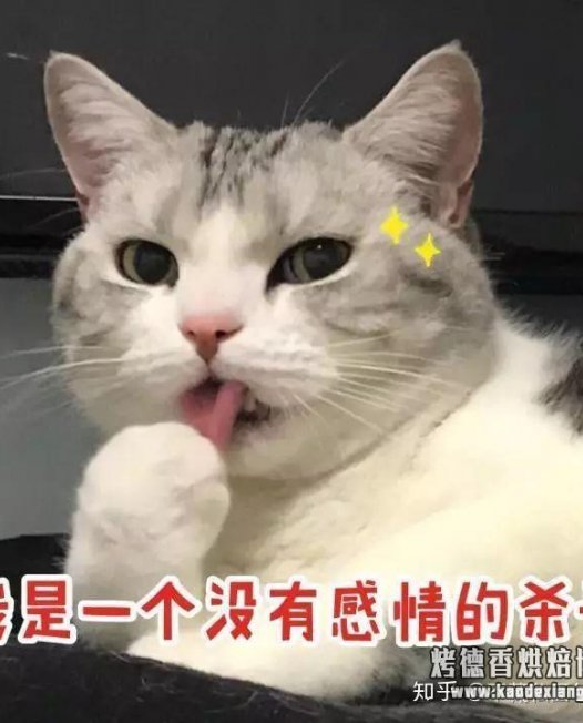 家里没有开酥机,怎么做牛角包?